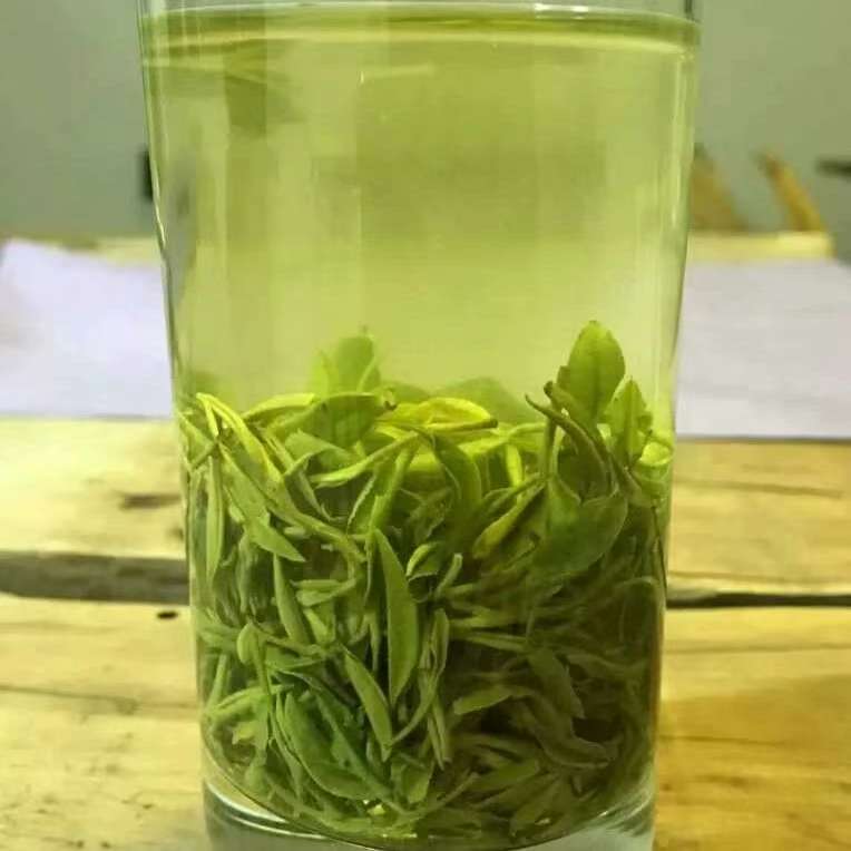 信阳高山云雾绿茶产地直发浓香耐泡野山口粮茶