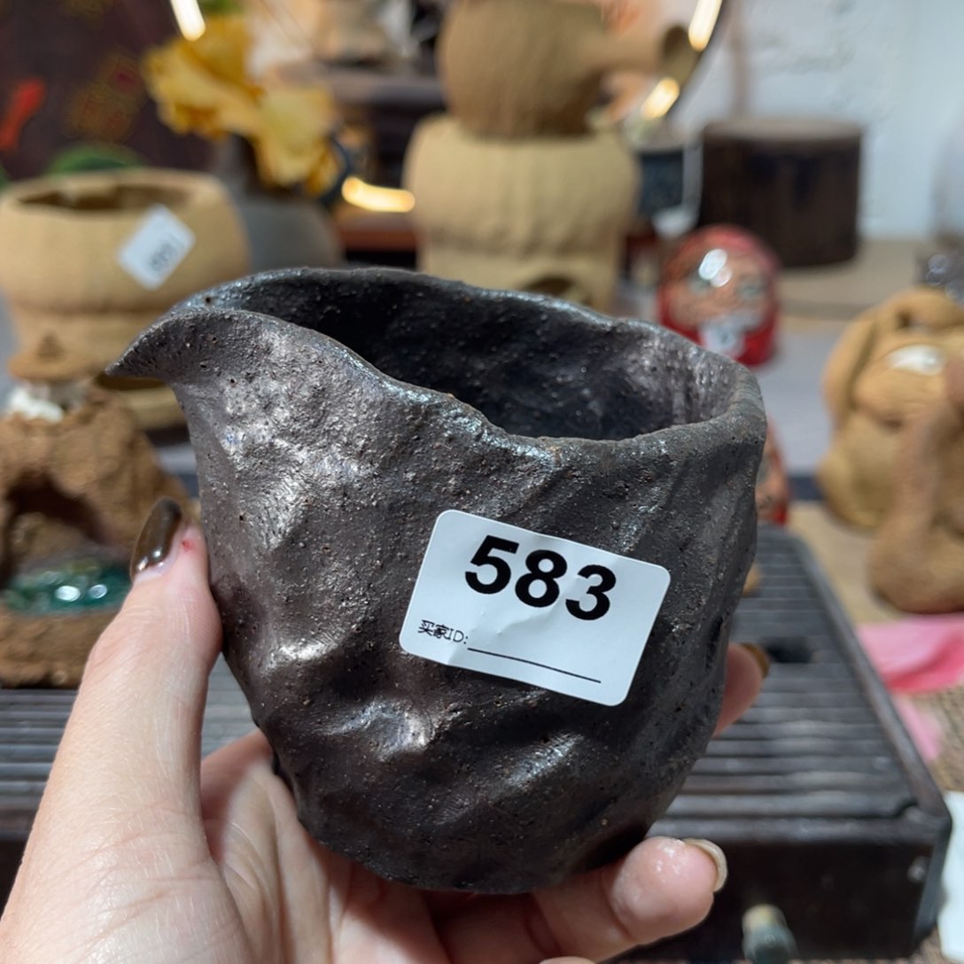 木村信弘柴烧保平