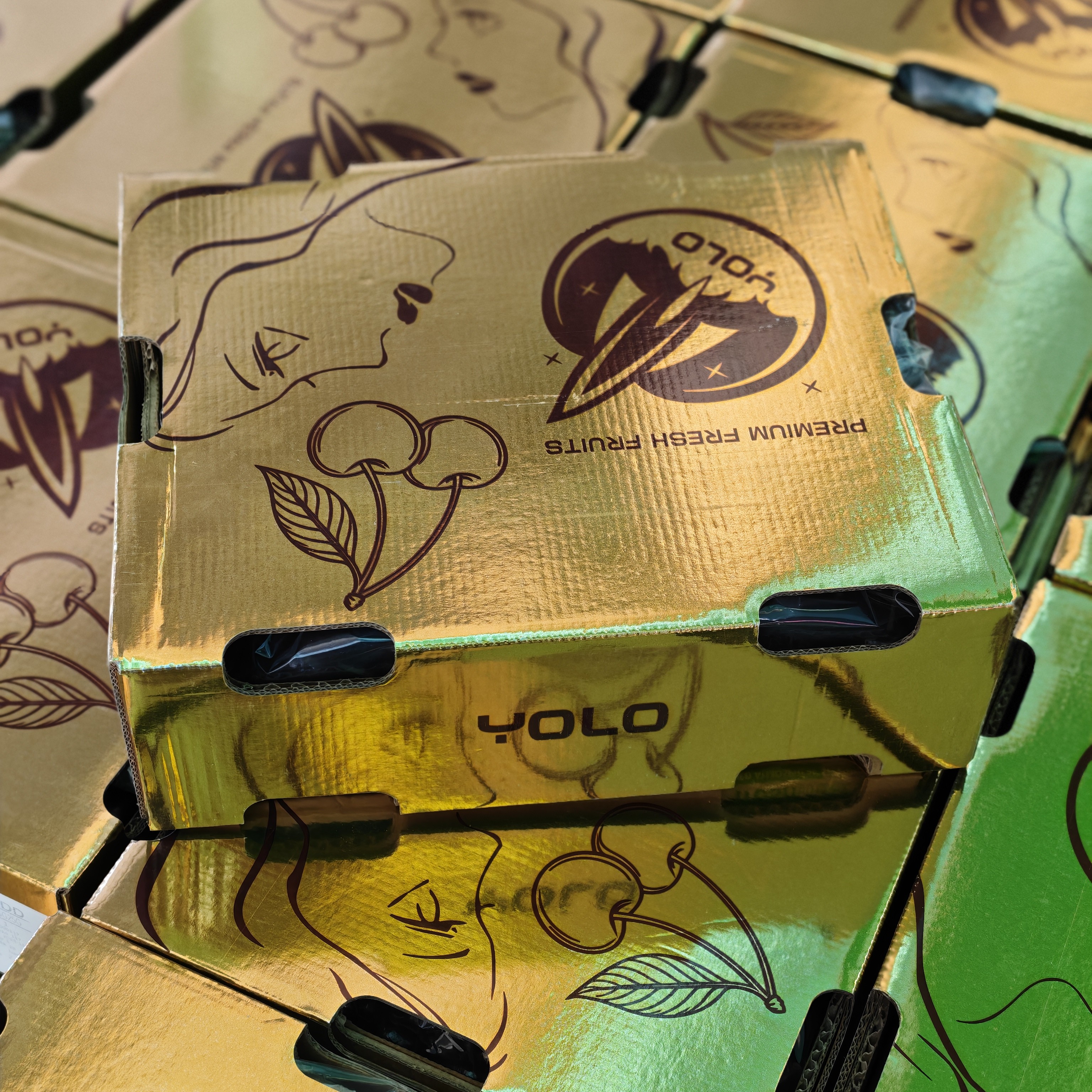 【金火箭】空运智利车厘子桑提娜5斤原箱JD2JD3JD4JD（内附果径卡）