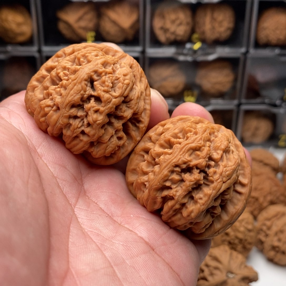 44全品大粗筋核桃一对