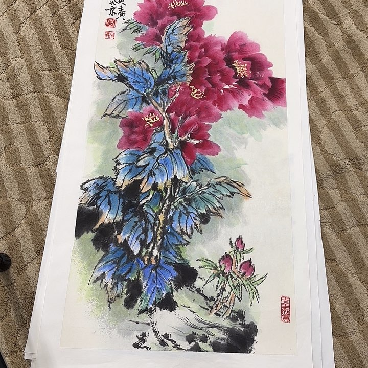 国画花鸟的翅膀是一个巨大而又