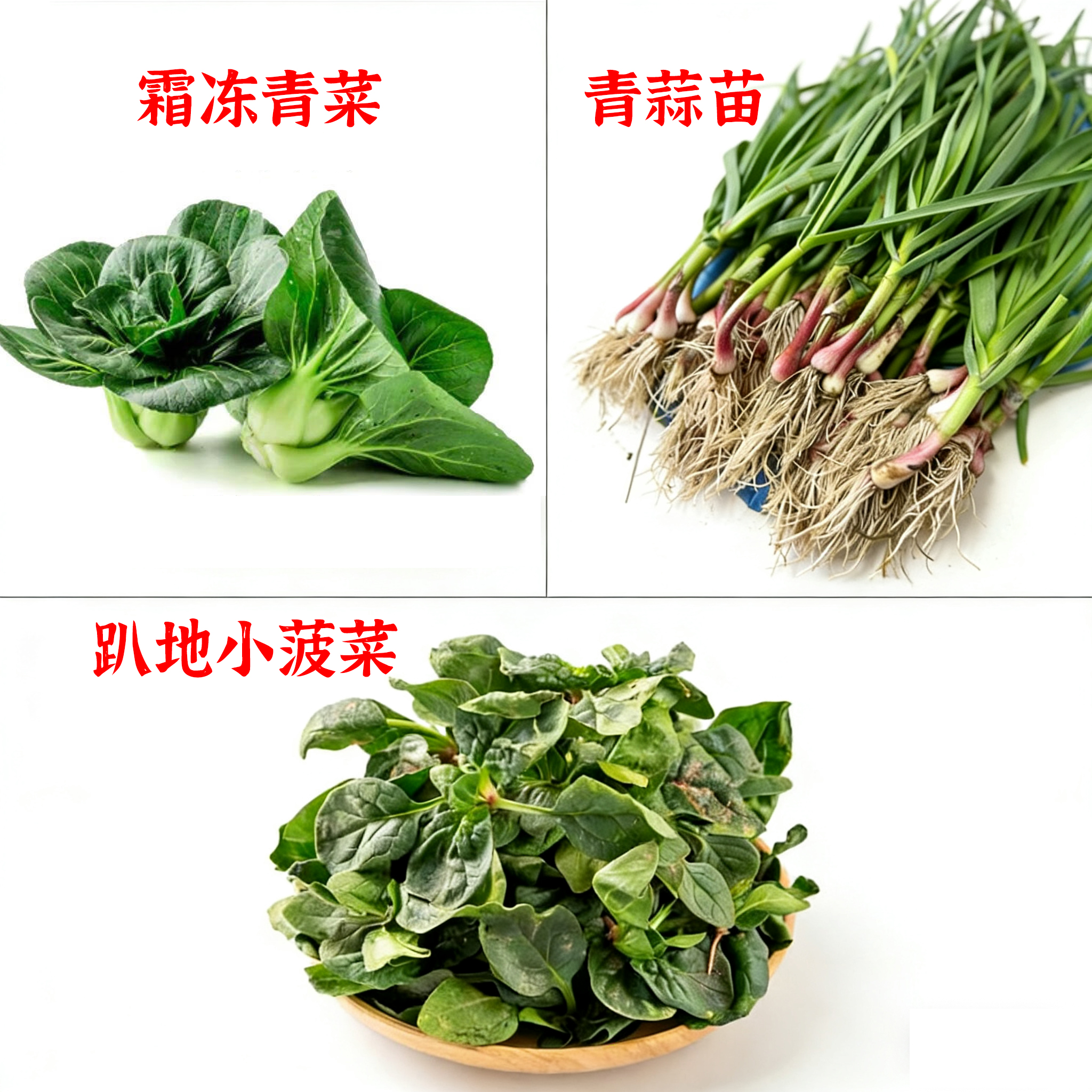 [发顺丰]崇明红皮青蒜350g+趴地小菠菜250g+霜冻露天青菜500g