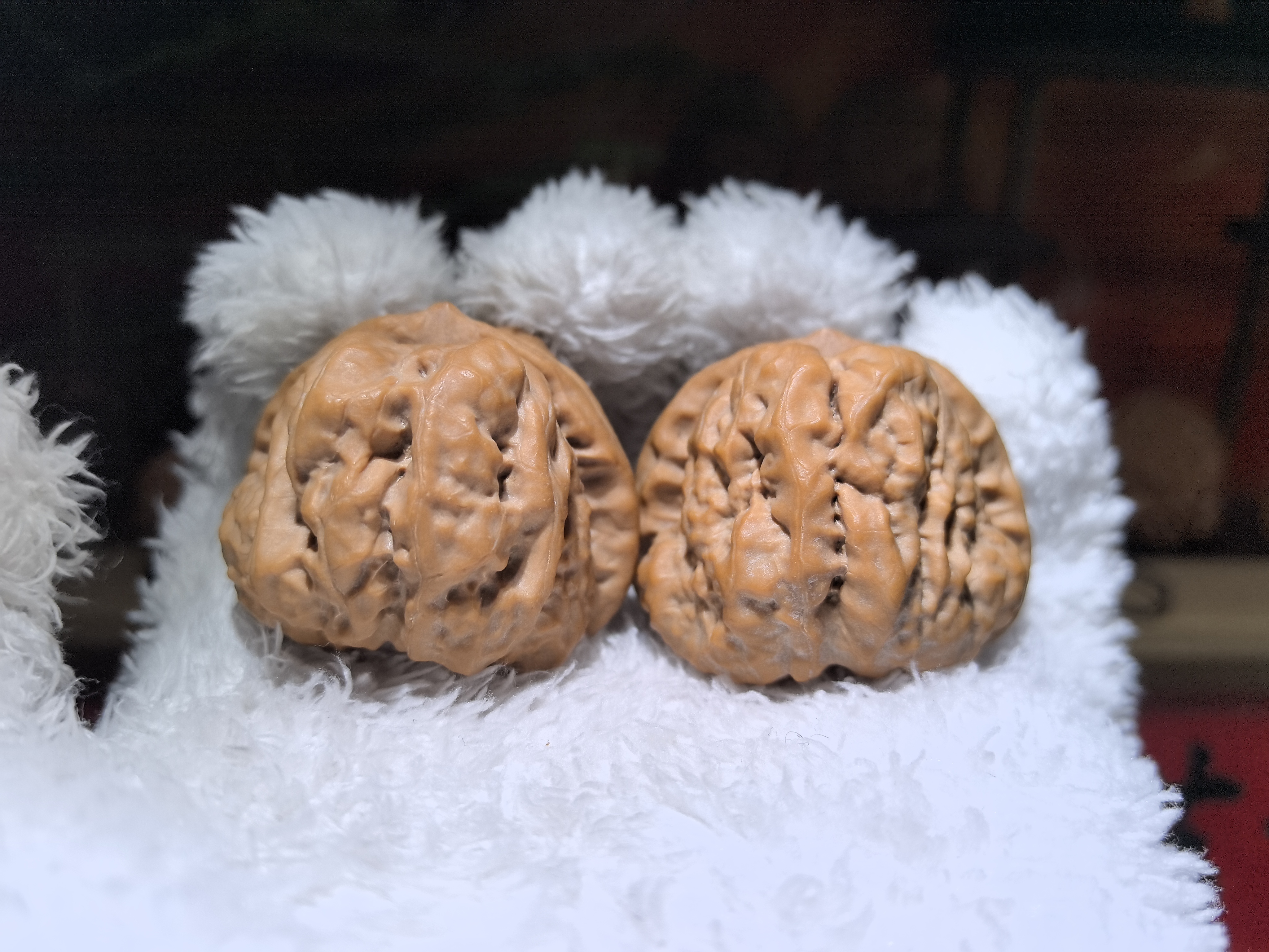 40+延庆蛤蟆头一对