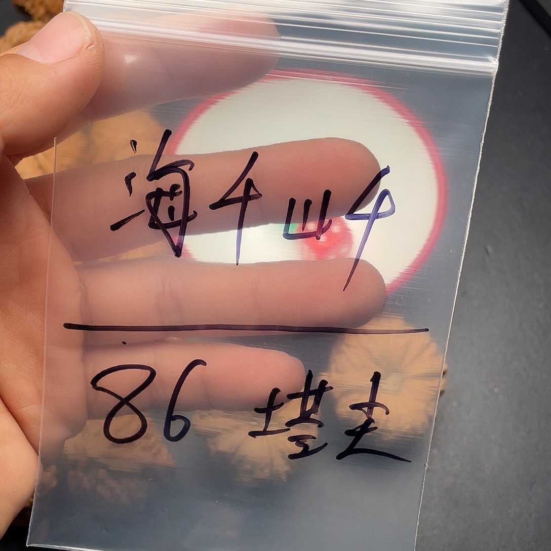 文玩核桃吊坠海**千小游戏