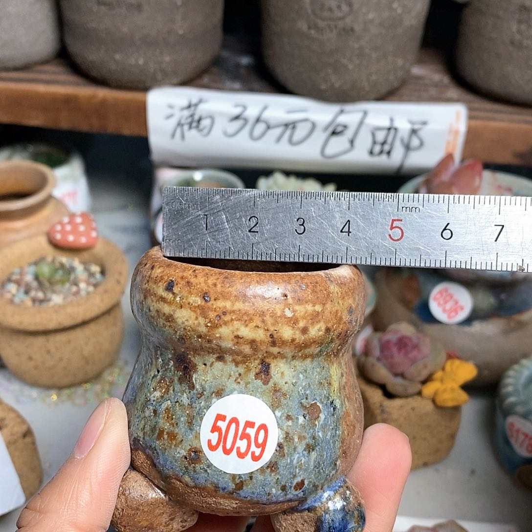 红陶拍5送一个小