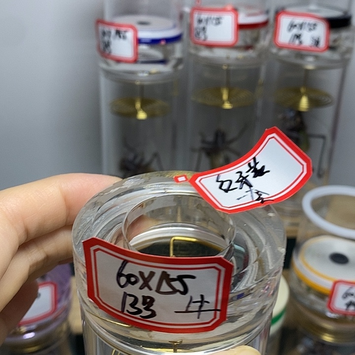 蝈蝈60-155一套红牙黄