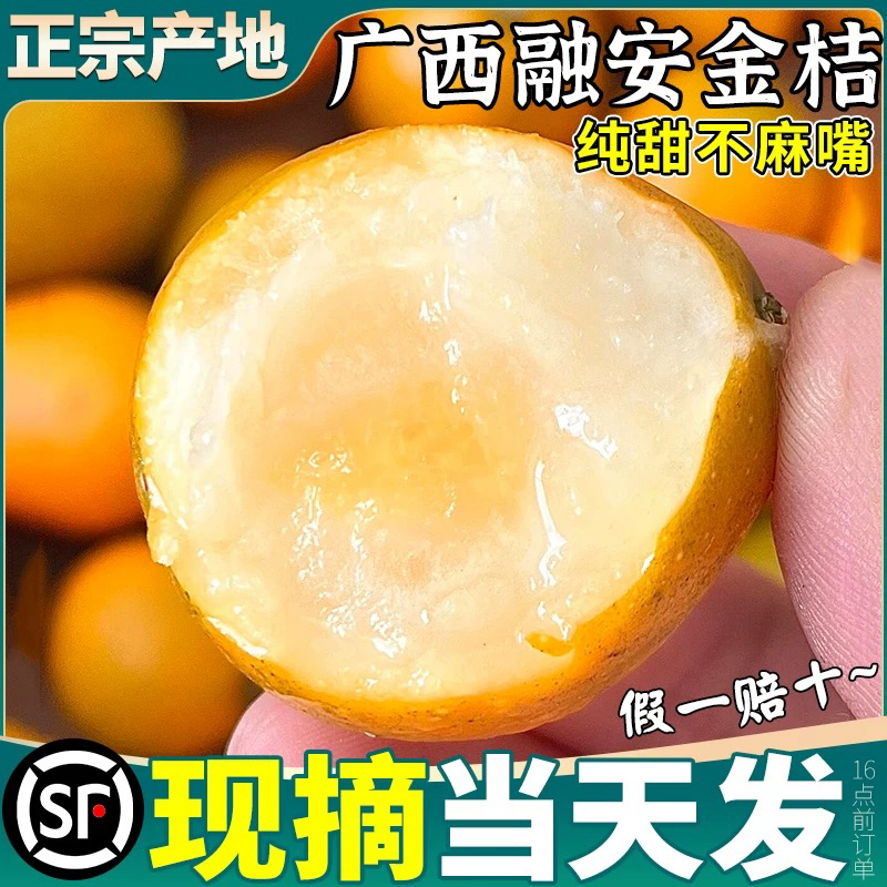 「北京新发地直发」正宗广西融安金桔超大果3斤【顺丰包邮】金橘广西壮族自治区朔州市