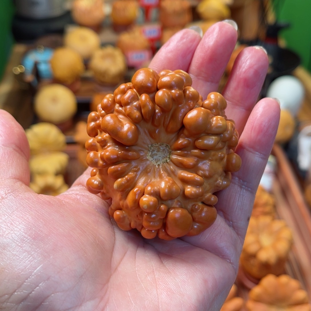 露墨西哥葫芦手把爆红疙瘩