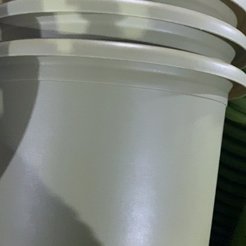 树脂四季6号果绿无托7个特价