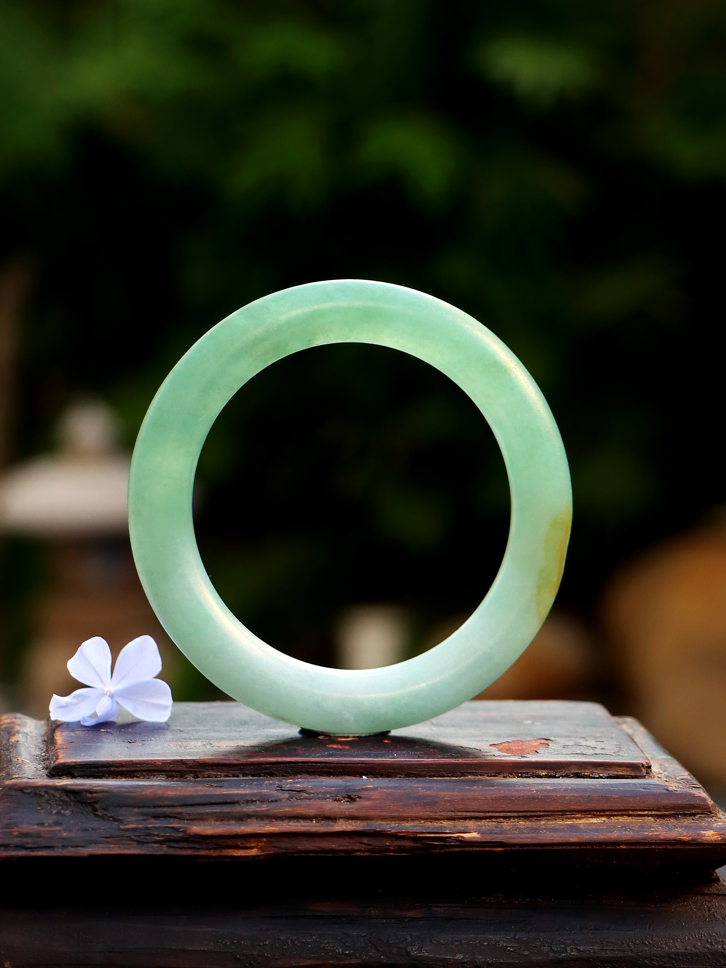 【忆江河】61圈 老坑糯冰晴绿带黄翡翡翠手镯 全品浅绿三色老镯子