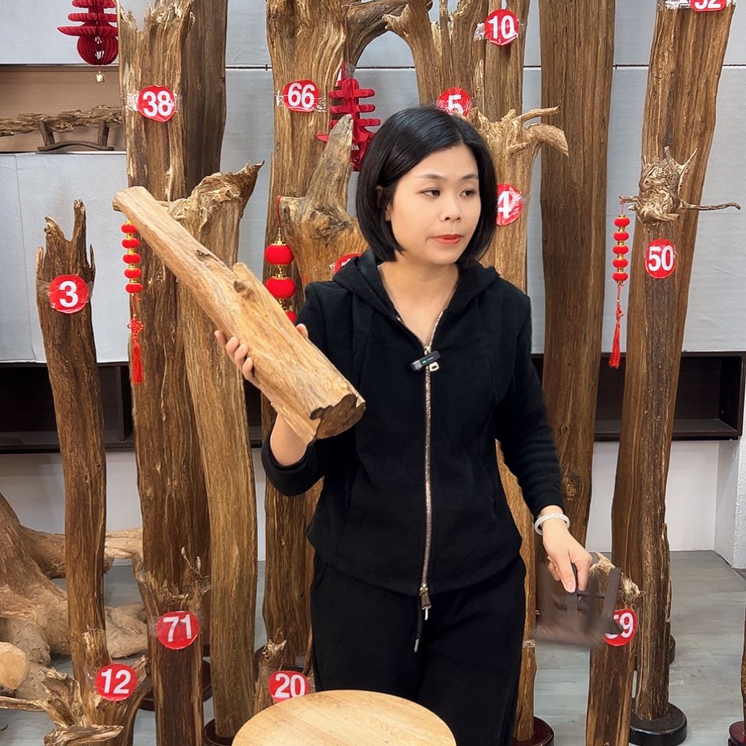 沉香摆件沉香摆件