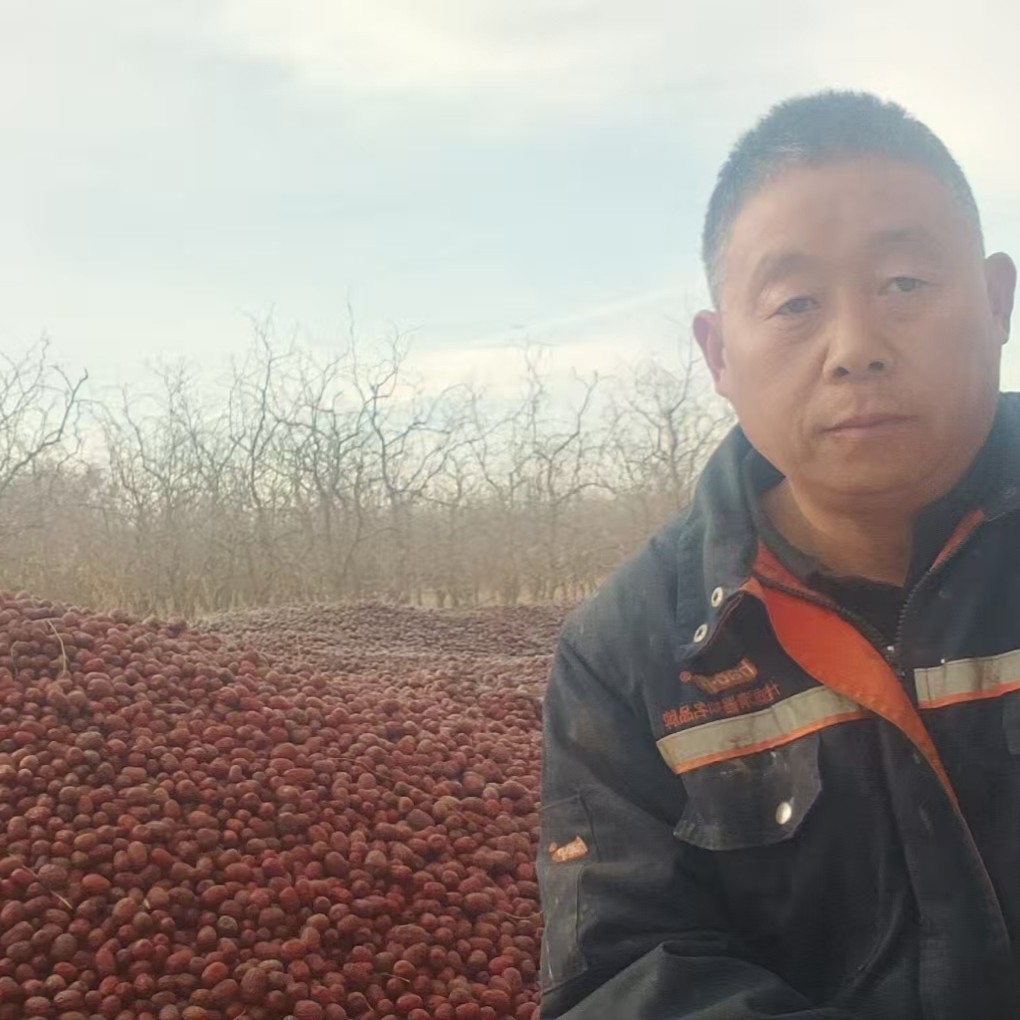王级新疆枣农自然吊干灰枣红枣原生态未清洗皮薄肉厚零食煮粥煲汤