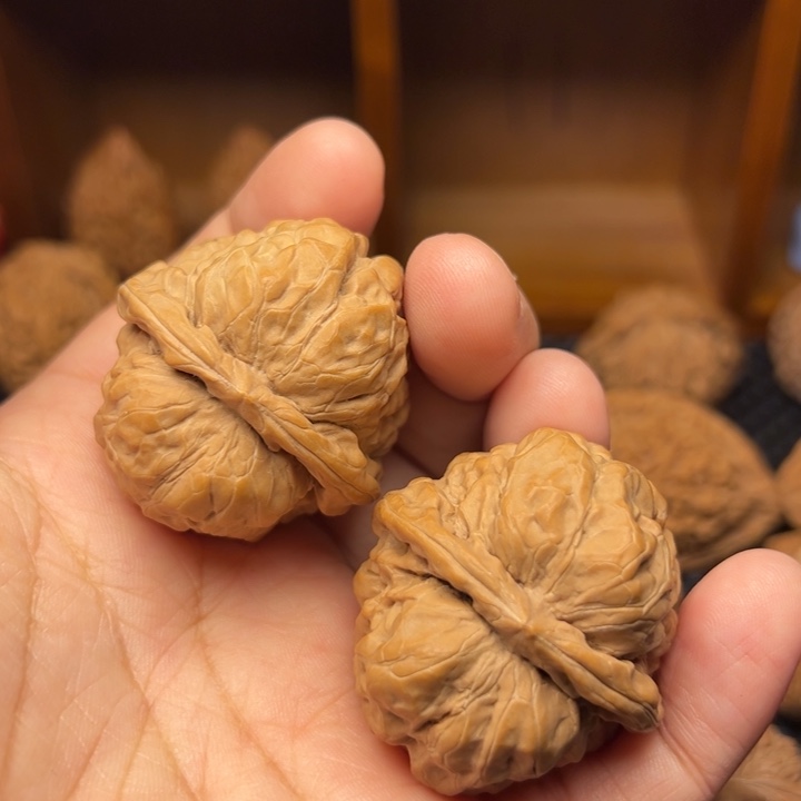 桃核把件40尺全品蛤蟆头