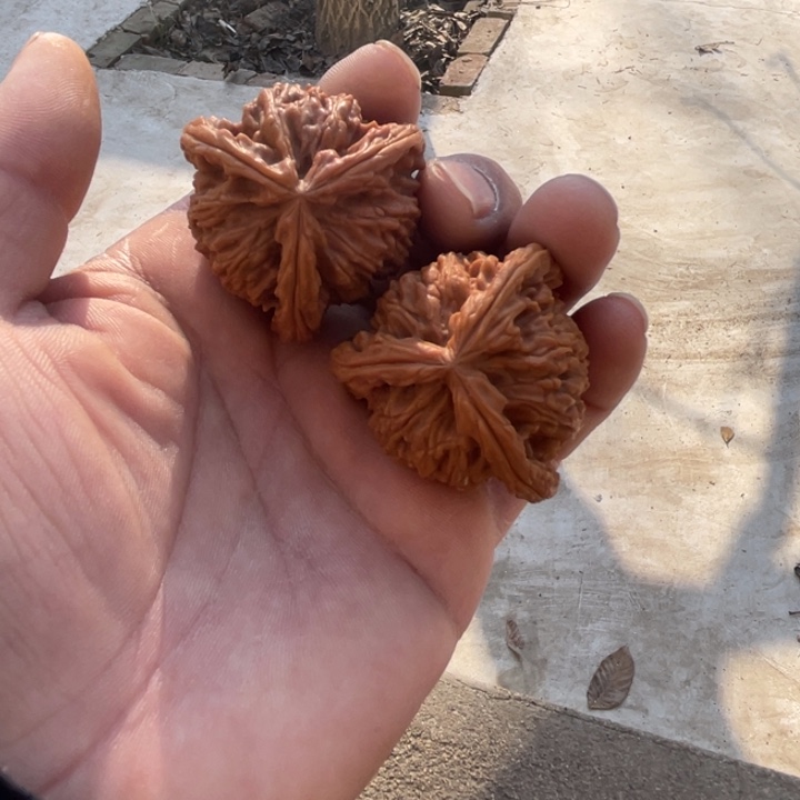 用***5文玩核桃吊坠三棱三棱三棱三棱