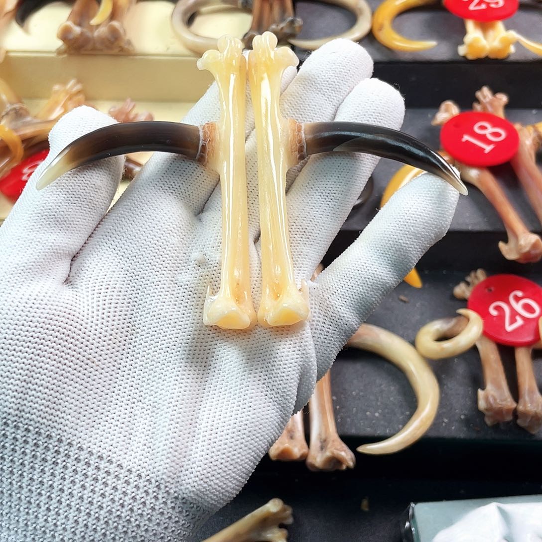 鸡骨（鸡脚）把件(****手把件