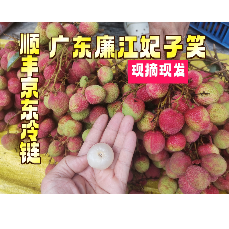 【顺丰京东陆运】广东廉江妃子笑荔枝当季新鲜采摘核小肉厚香甜
