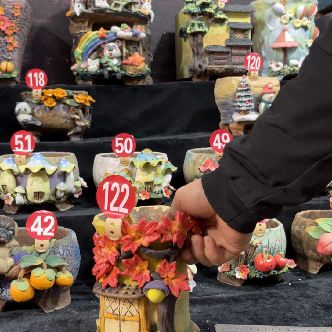 ****紫白狐花器多肉花盆