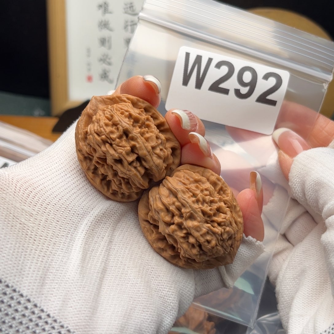 文玩核桃把件35蚂蚁王w 292