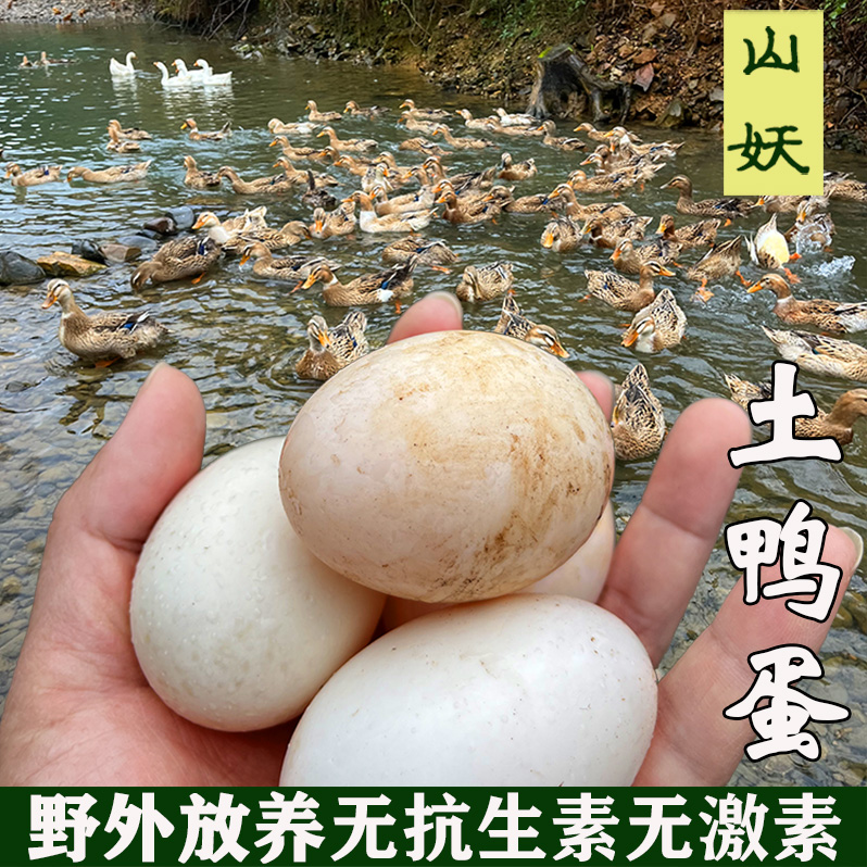 溪水放养土鸭蛋正宗生态散养麻鸭蛋农家新鲜鸭蛋纯粮食喂养生鸭蛋