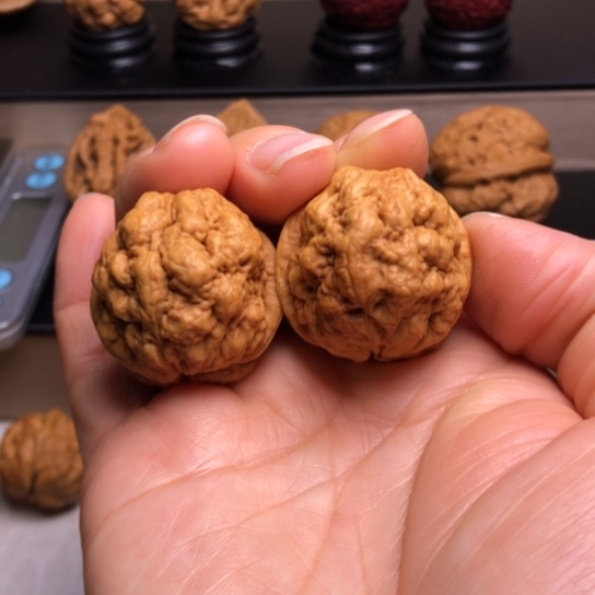 文玩核桃把件B***J血舍利8