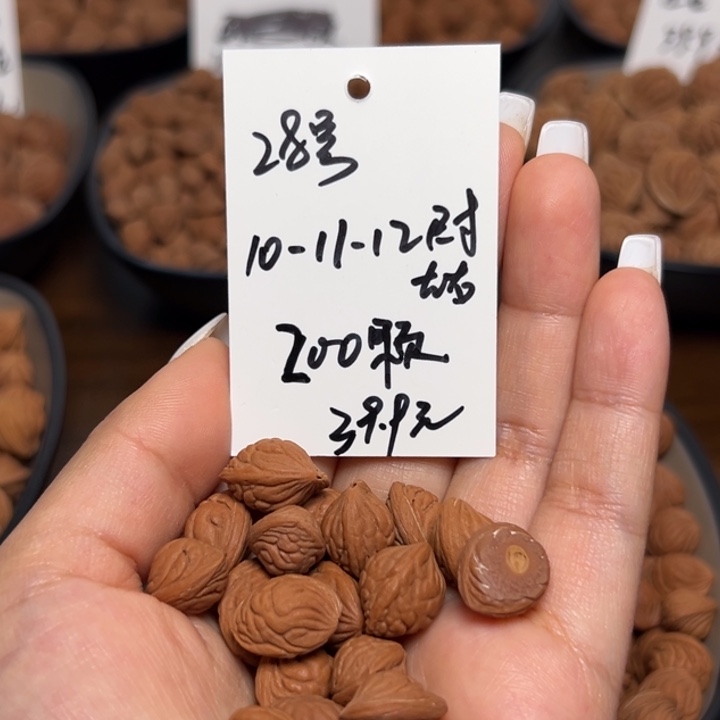 木质类雕刻料肚卡10-11-12 200颗