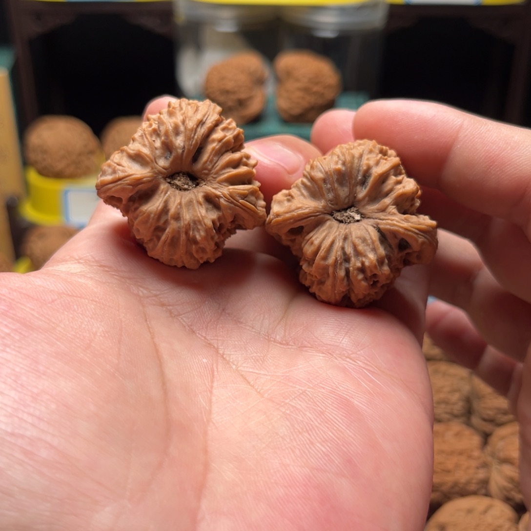 把件文玩核桃逐鹿凹底丑疆