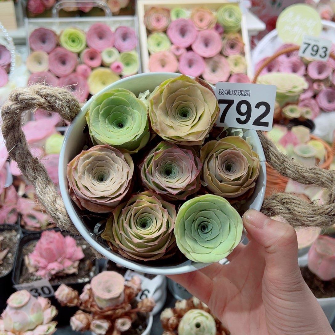 792混合小精品花朵脸组合套装。  一物一拍