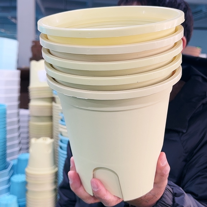 清仓圆控口18高18柠檬黄5个无托