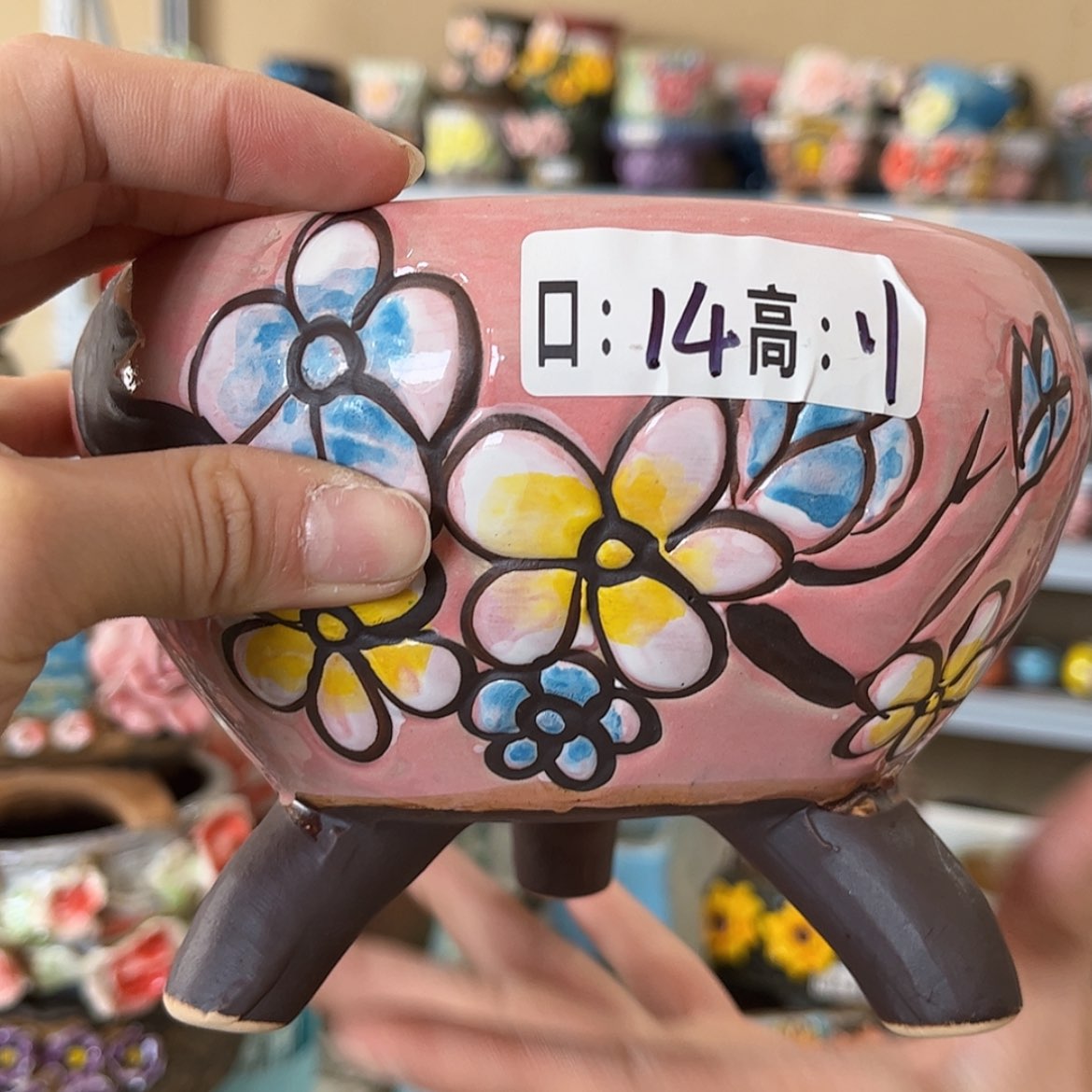 【闪购商品】红陶福利