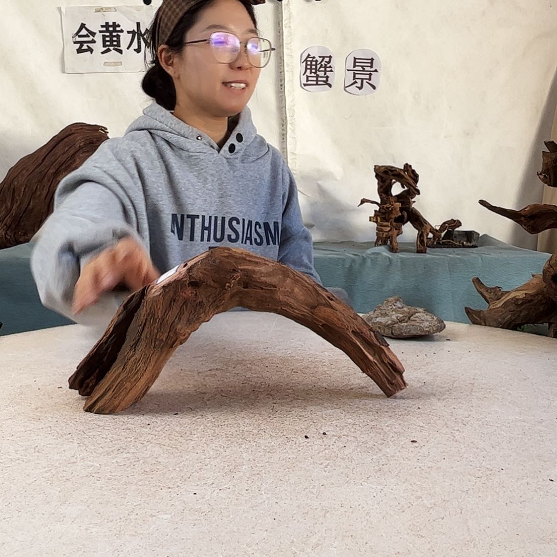 沉木造景爬宠造景