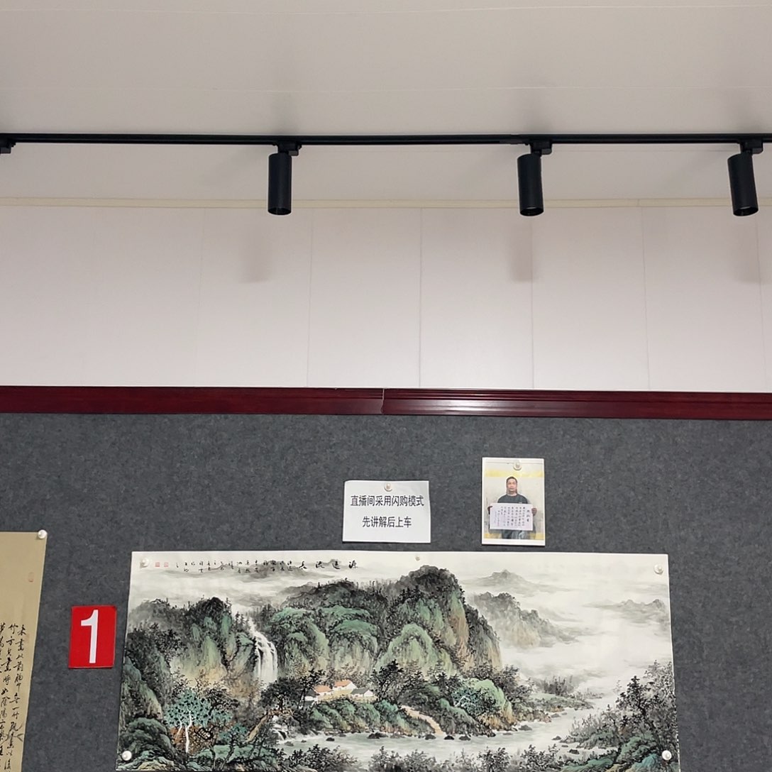 国画淄****业小六尺画芯 作品