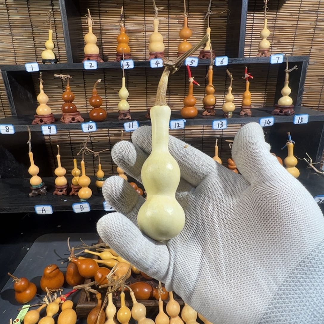 小***鱼蚂蚁蚂蚁蚂蚁蚂蚁