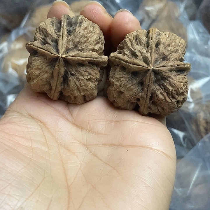 文玩核桃把件云南铁核桃基地19