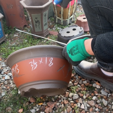 红陶紫砂花盆盆景盆栽