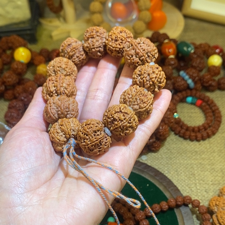 金刚菩提手串晓***啊237原籽