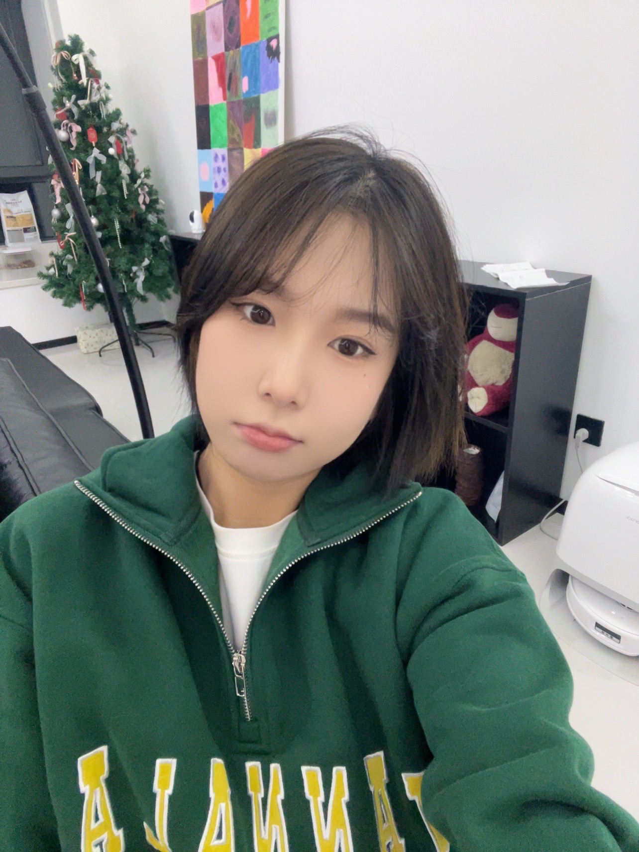 清仓款高克重加绒款半高领拉链卫衣休闲百搭情侣