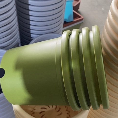 树脂四季1号果绿无托10个