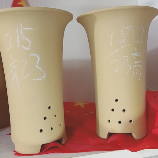 红陶紫砂紫砂紫砂
