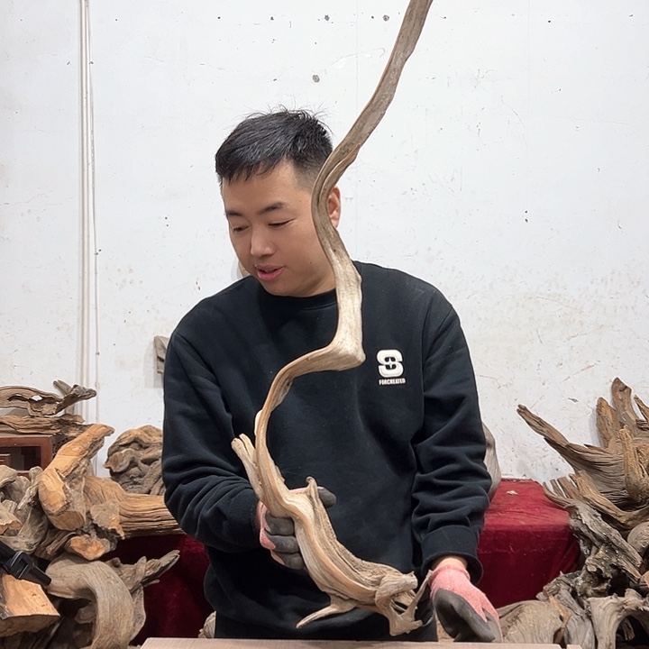 柏木孤**月我们都是好孩子呀我也是