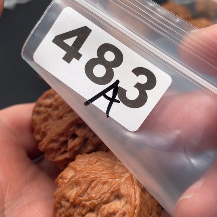 文玩核桃吊坠蒋*人磨盘40