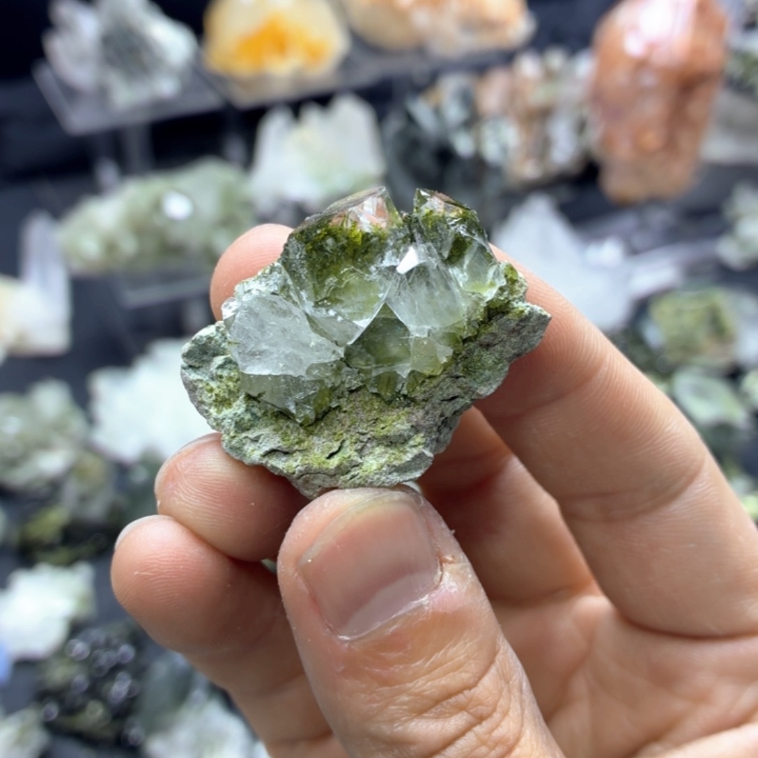 石材新绿绿帘宝宝