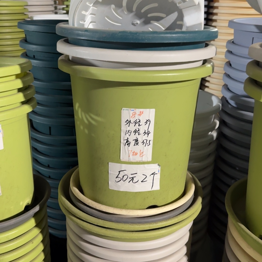 四季8#口径39高37无拖果绿5个