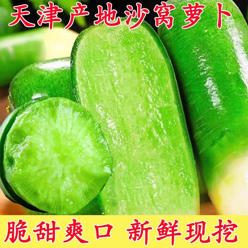 【顺丰次日达】正宗天星2号沙窝村萝卜糖度高清脆爽口可当水果代餐必备萝卜