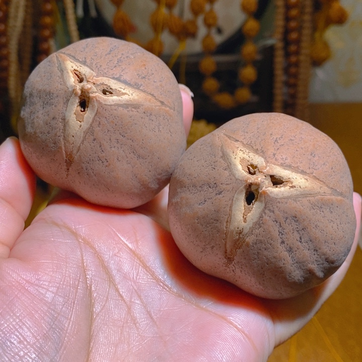 野生蟠桃三花大橄榄5560