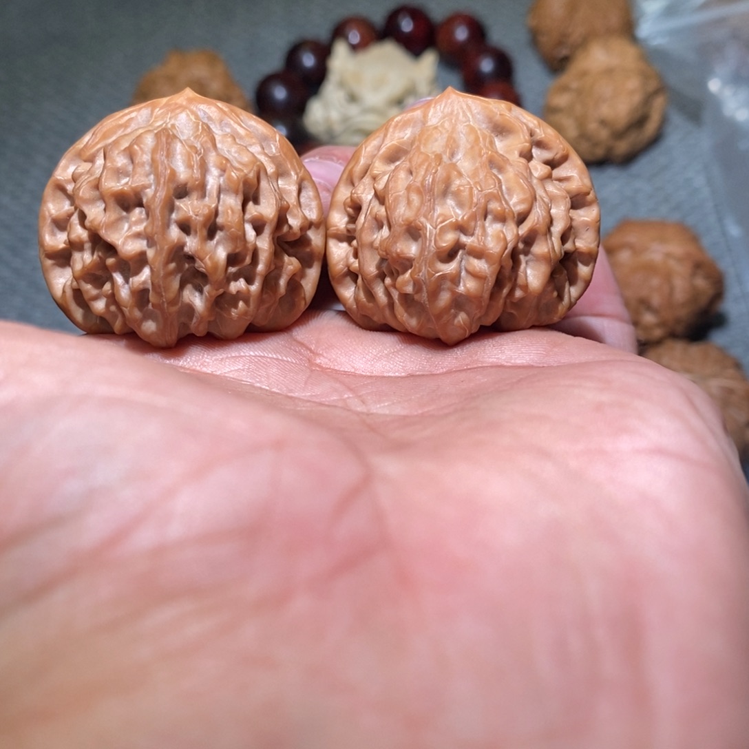 顽***主龙门涧。                  