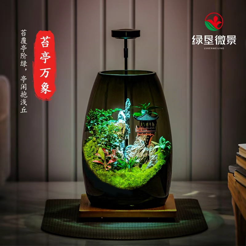 【苔亭万象】爆款创意桌面绿植苔藓微景观室内盆景办公桌高端礼物