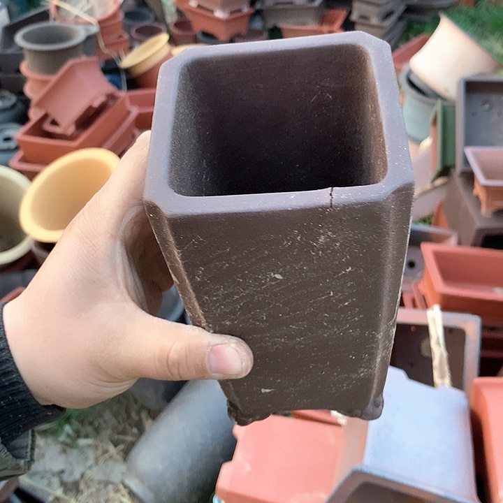 紫砂优秀青年科技人才创新人才