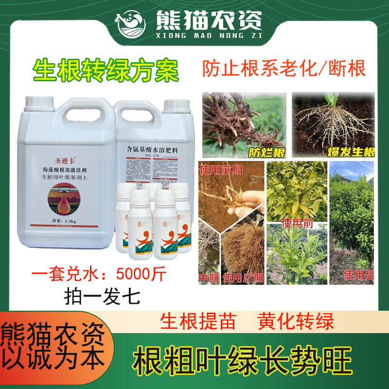 熊猫兄弟圣迪卡黄化转绿方案生根爆根绿叶膨果解决树黄化状根提苗