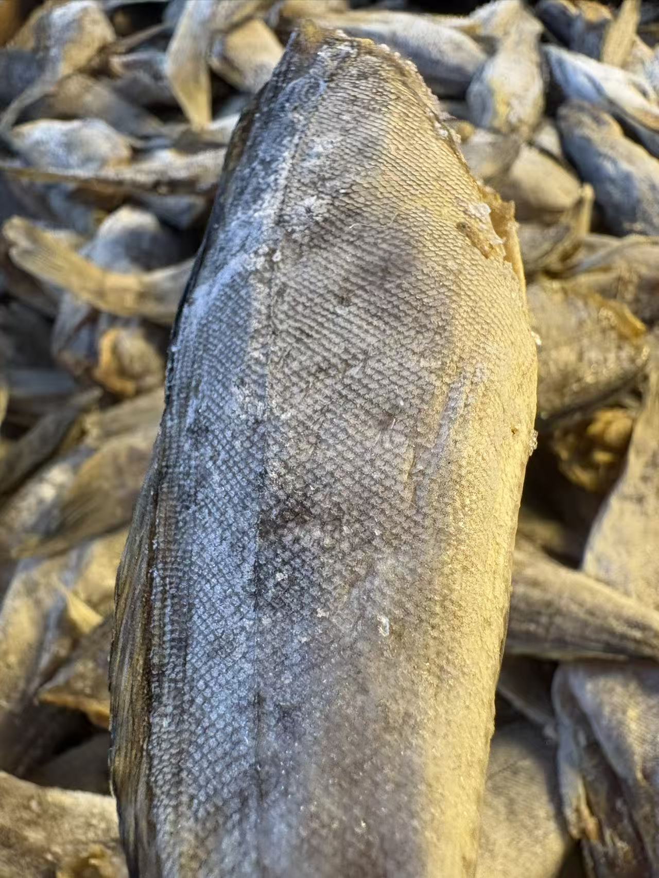 正宗东港去头新鲜小黄鱼干