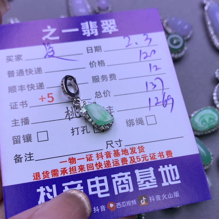 翡翠颈饰银S925镶嵌凌**舍